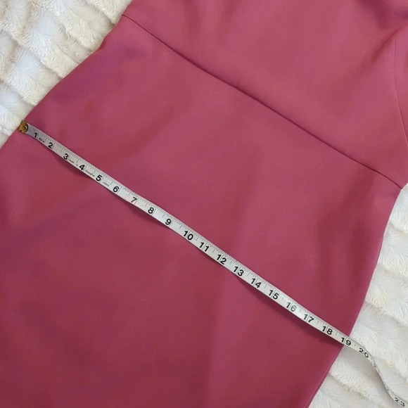 For Kitty Rescue! Loft Cutout Sheath Dress - Picture 11 of 13